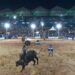 Show com Zé Neto e Cristiano e finais do rodeio  são atrações da ExpoTerra no fim de semana