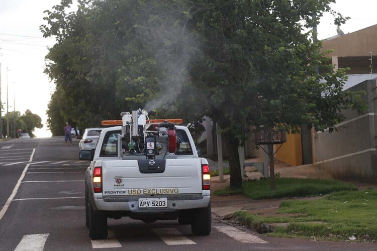 Informe da dengue registra 876 novos casos;  circulação está confirmada em 216 municípios