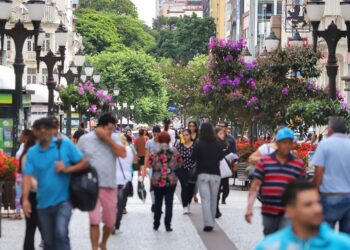 Proporção de pretos e pardos cresce no Paraná e chega a 34,3%