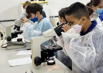 Consulta pública da Política de Ciência,  Tecnologia e Inovação recebeu 414 contribuições