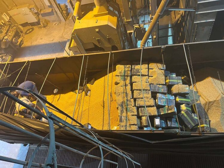 Receita Federal e Polícia Militar do Paraná apreendem quase duas toneladas de maconha