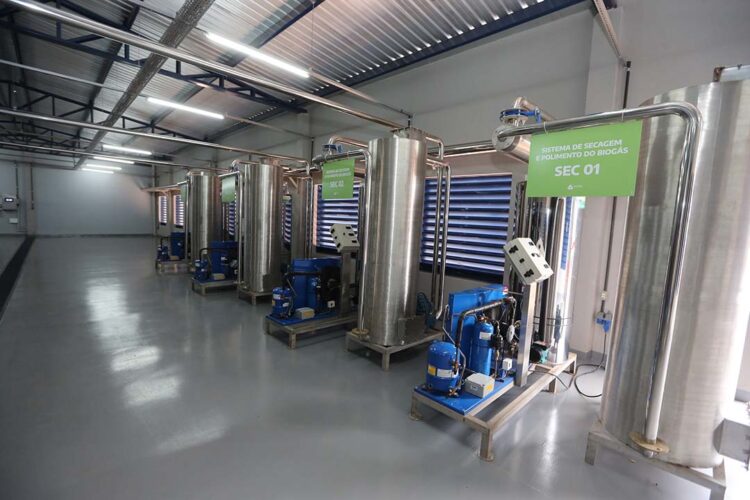 Novos decretos beneficiam setor de biogás e estimulam venda de carros menos poluentes