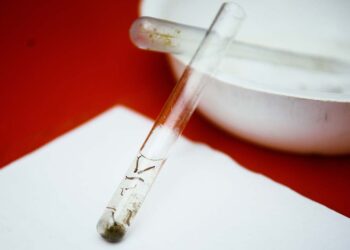 Divulgado último boletim da dengue  do ano com 907 novos casos