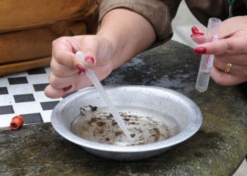 Paraná aposta em capacitação, informação  e monitoramento no controle das arboviroses