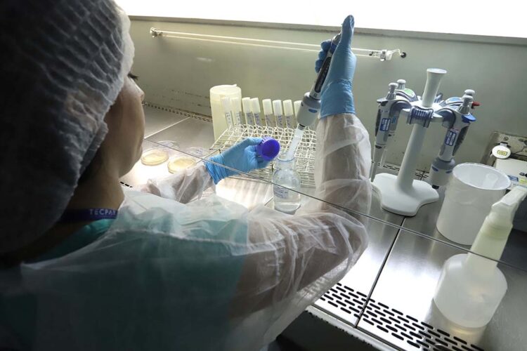 Estado fecha 2023 com maior investimento da história em ciência e tecnologia