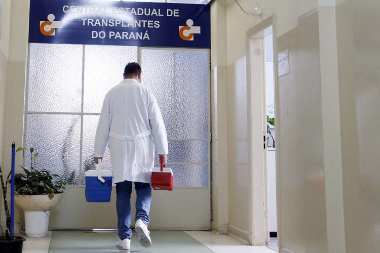 Paraná tem a menor taxa de recusa para  doação de órgãos, aponta ranking nacional
