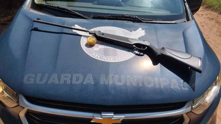 Homem é preso por matar cachorro no Distrito de Graciosa