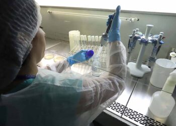 Paraná fecha 2023 com maior investimento da história em ciência e tecnologia: R$ 505,1 milhões