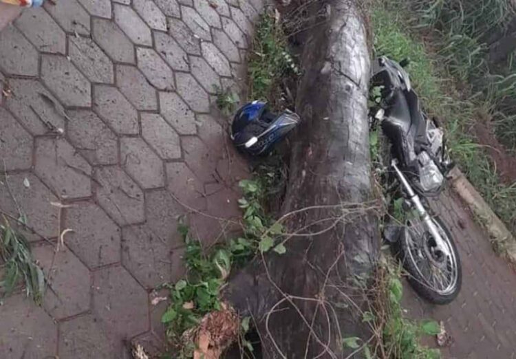 Homem morre após colidir motocicleta contra árvore