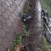 Homem morre após colidir motocicleta contra árvore
