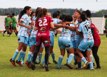 Com conquistas nacionais e calendário cheio, esporte do Paraná teve ano de glórias