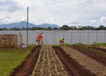 Paraná conclui ano com 240 novos canteiros de trabalho no sistema prisional