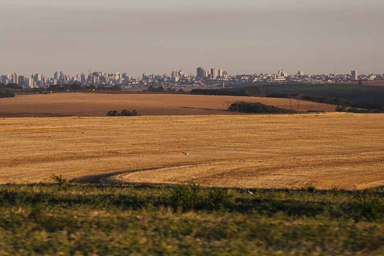Além dos milionários, Nota Paraná distribuiu mais de R$ 10 mil a moradores de 67 cidades