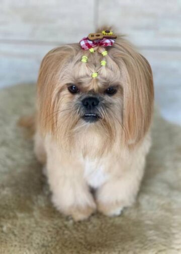 Espaço PET 06 a 08/01