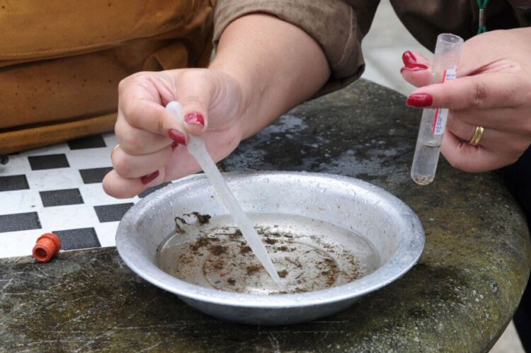 Paranavaí registra 423 casos confirmados de Dengue