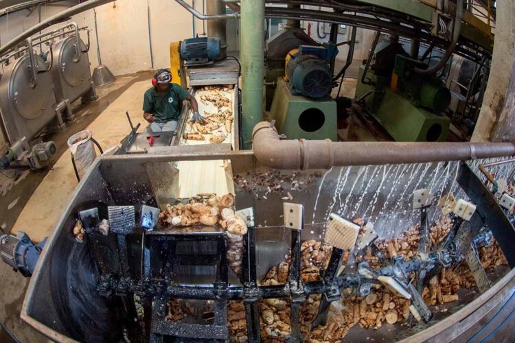 Entidades cobram solução para picos e quedas de energia no Noroeste do Paraná