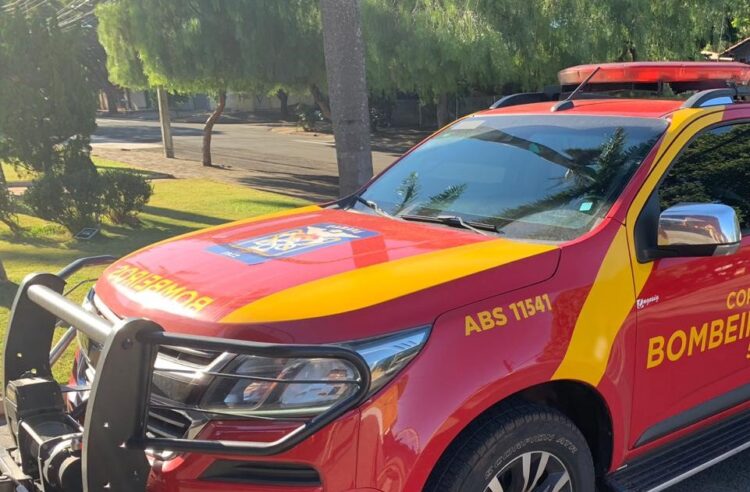 Corpo de Bombeiros realiza remoção de lagarto em residência