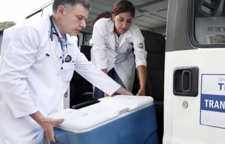 Transplante de rim é o mais realizado no Brasil, segundo Ministério da Saúde