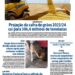 Edição 11/01