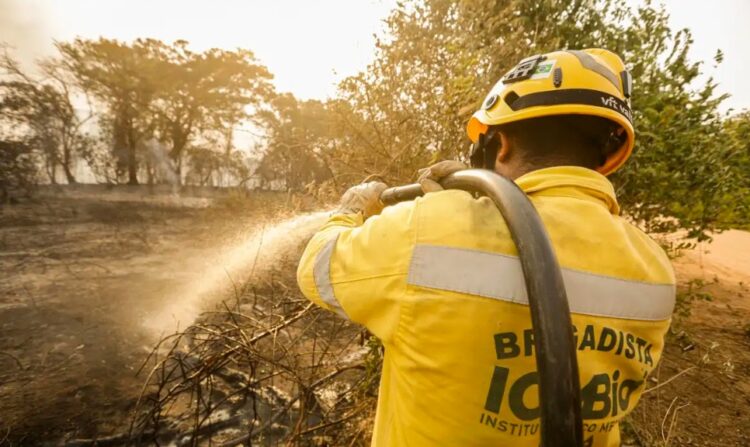 Mais de 17,3 milhões de hectares foram queimados em 2023 no país