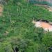 Desmatamento em áreas protegidas da Amazônia cai 73% em 2023