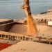 Exportações do agronegócio paranaense cresceram 40,8% em volume em 2023