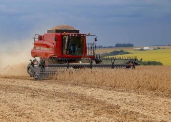 Exportações paranaenses crescem 13,7% em  2023, melhor desempenho do Sul e Sudeste