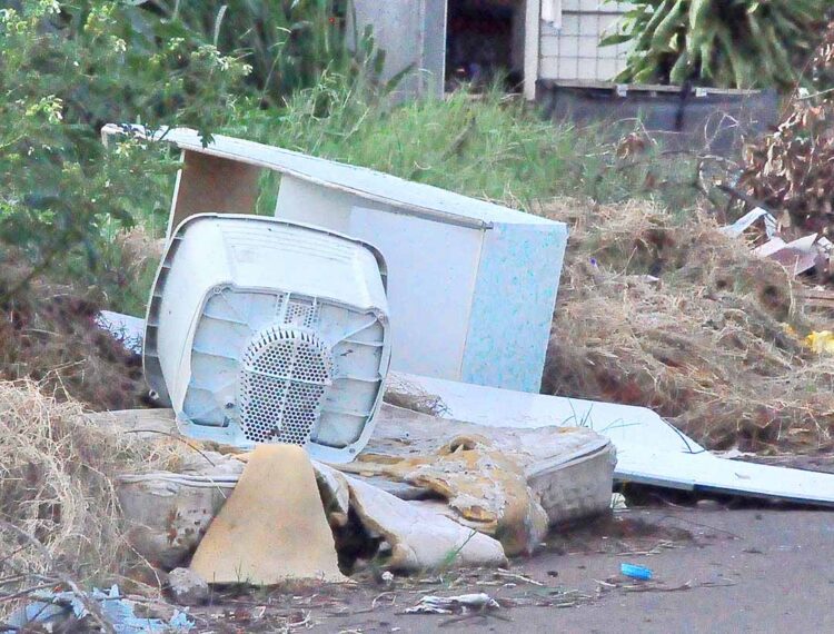 Primeiro boletim da dengue de 2024  confirma 9.189 casos da doença no Paraná