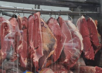 Carnes: Brasil avança em volume, mas receita cambial cai