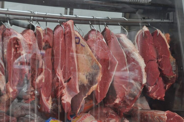 Carnes: Brasil avança em volume, mas receita cambial cai
