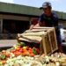 Pesquisa traz dicas sobre como reduzir desperdício de alimentos