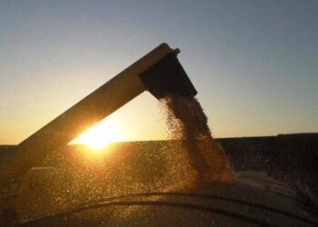 Boletim mostra que condições agrometeorológicas favorecem semeadura, colheita e desenvolvimento da safra