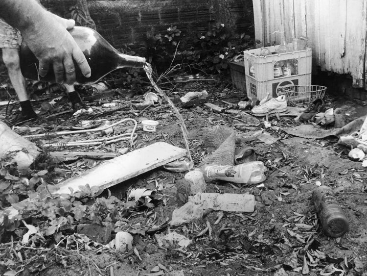 Vereadoras de Paranavaí pedem informações  sobre investimentos no combate à dengue