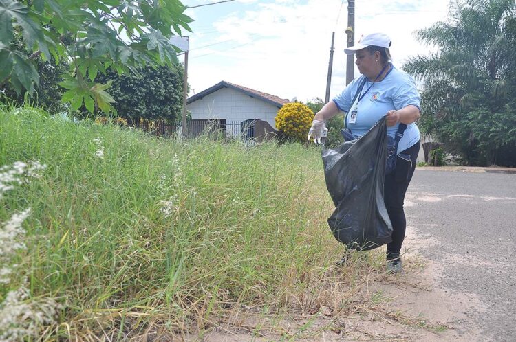 Paranavaí cumpre requisitos para receber carro fumacê