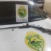 Homem é preso por violência doméstica e porte ilegal de arma de fogo