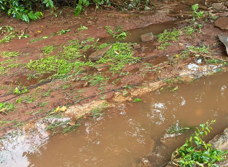 Acampamento de ciganos é alagado e vítimas perdem todos os pertences