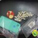 Polícia Militar cumpre mandado e prende homem por tráfico de drogas