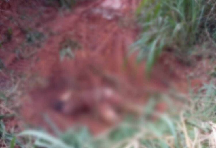 Trabalhador encontra corpo em área rural de Amaporã