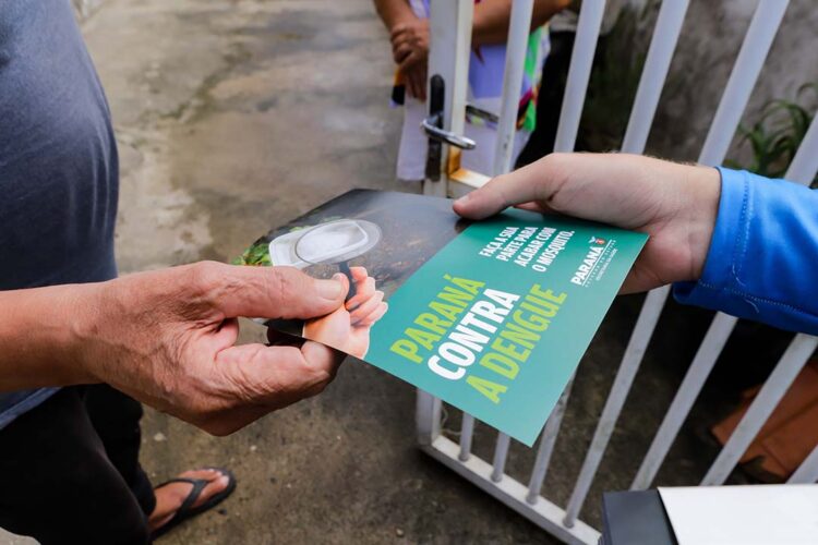 Paraná registra 8,4 mil novos casos de dengue e mais um óbito