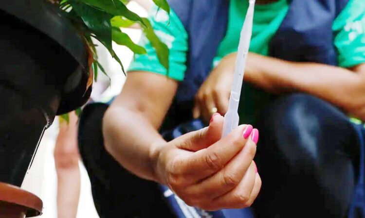 Distribuição da vacina começa na próxima semana