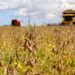 Conab aponta para uma produção de grãos de 299,8 milhões de toneladas