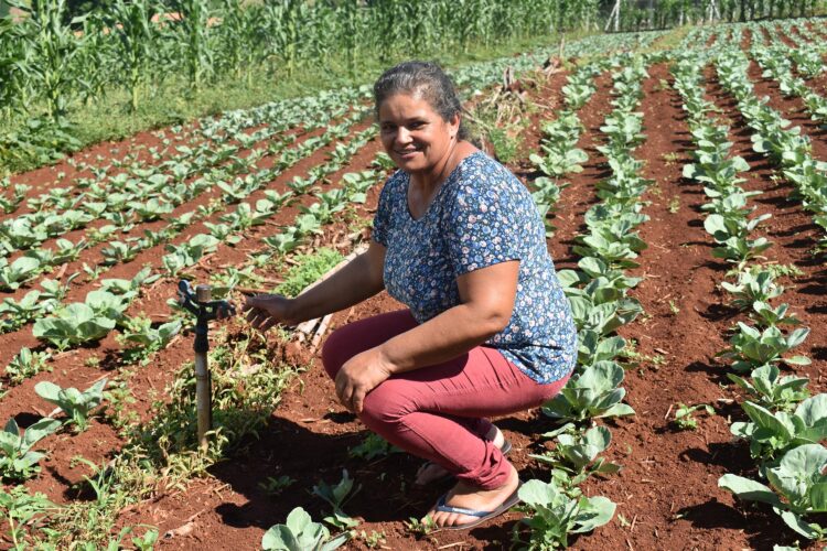 Desconto de energia para irrigação noturna beneficia 4 mil famílias de produtores rurais