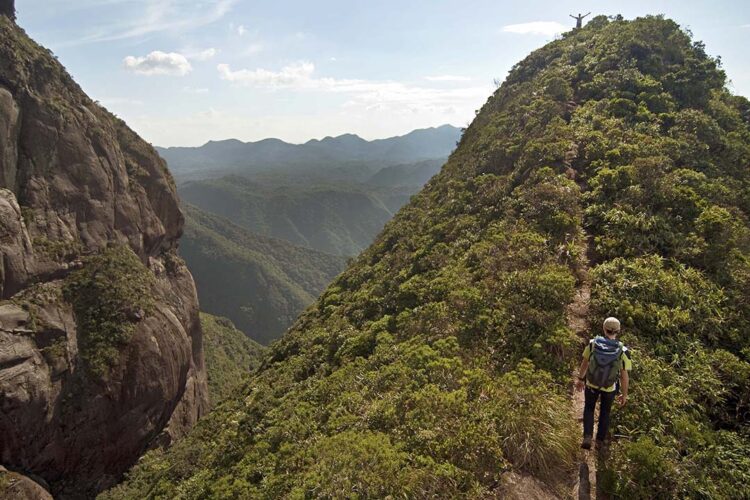 Com alta do turismo, setor de serviços do Paraná cresceu 11% em 2023