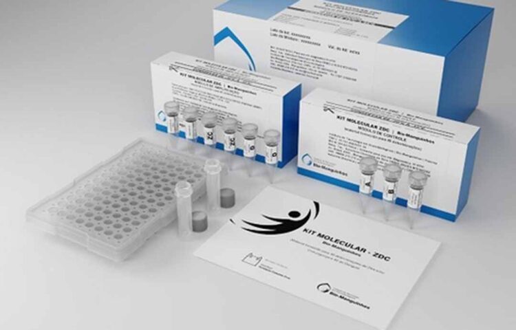 Fiocruz deve entregar 600 mil testes de dengue para o Ministério da Saúde em 2024