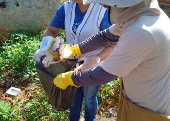 São João do Caiuá intensifica ações de combate à dengue