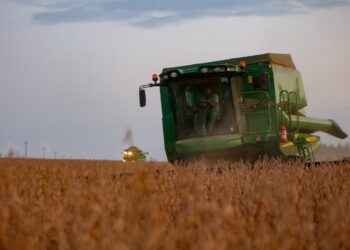 Paraná deve produzir 21,12 milhões de toneladas de grãos na safra de verão 2023/2024