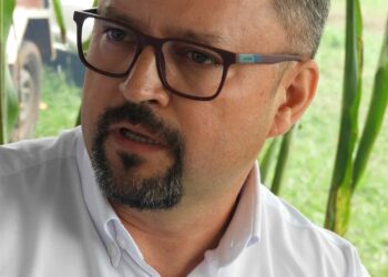 Etanol de sorgo deve abrir forte demanda  pelo cereal no Brasil, afirma Sawa