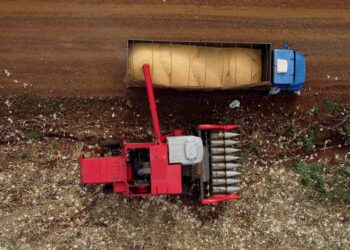 Agropecuária cresce 15,1% e bate recorde no PIB em 2023