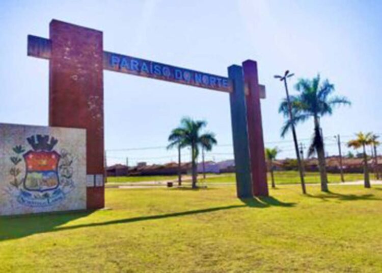 MPPR ajuíza ação civil contra duas empresas que teriam causado a morte de um milhão de abelhas