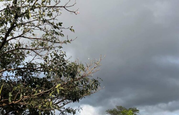 Paranavaí registrou ventos de 57,2 km/h e pouca chuva na última quinta-feira